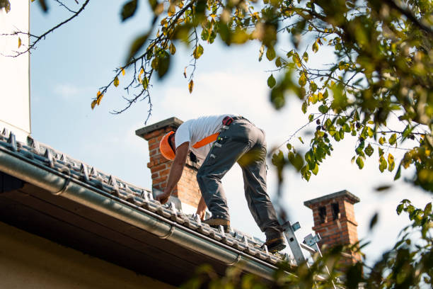 Best Residential Roof Replacement  in Lakeview, OH