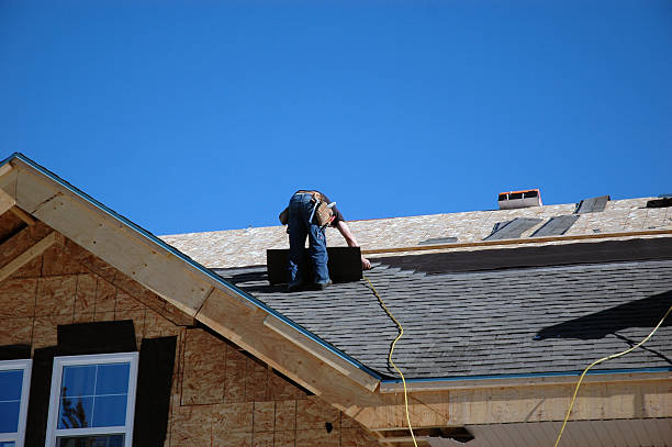 Best Storm Damage Roof Repair  in Lakeview, OH