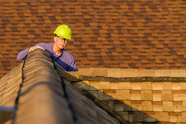 Best Roof Gutter Cleaning  in Lakeview, OH