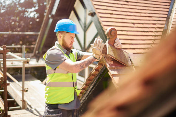 Gutter Installation and Roofing in Lakeview, OH