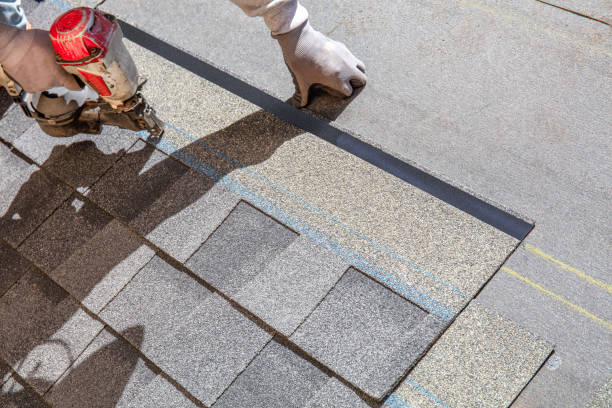 Best Roof Waterproofing Services  in Lakeview, OH